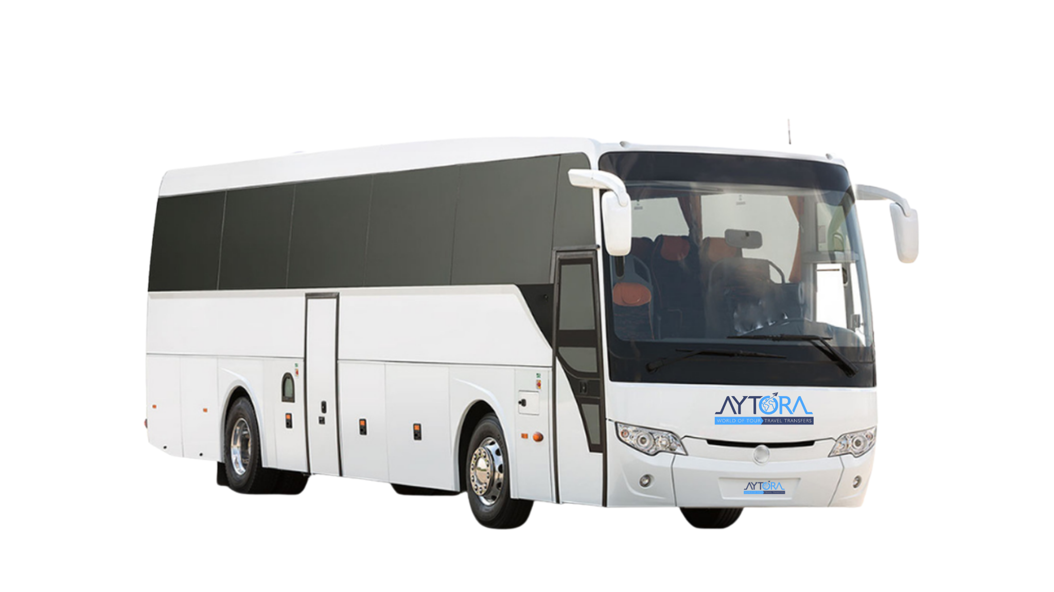 Economic Big Bus